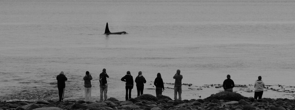 a group of people standing on top of a beach next to the ocean