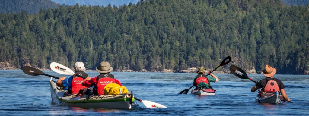 four people in canoes paddling on the water