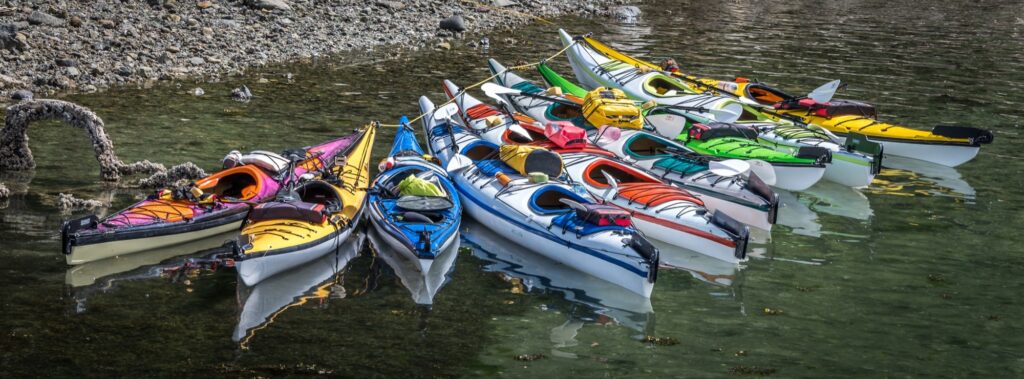 several canoes are lined up in the water