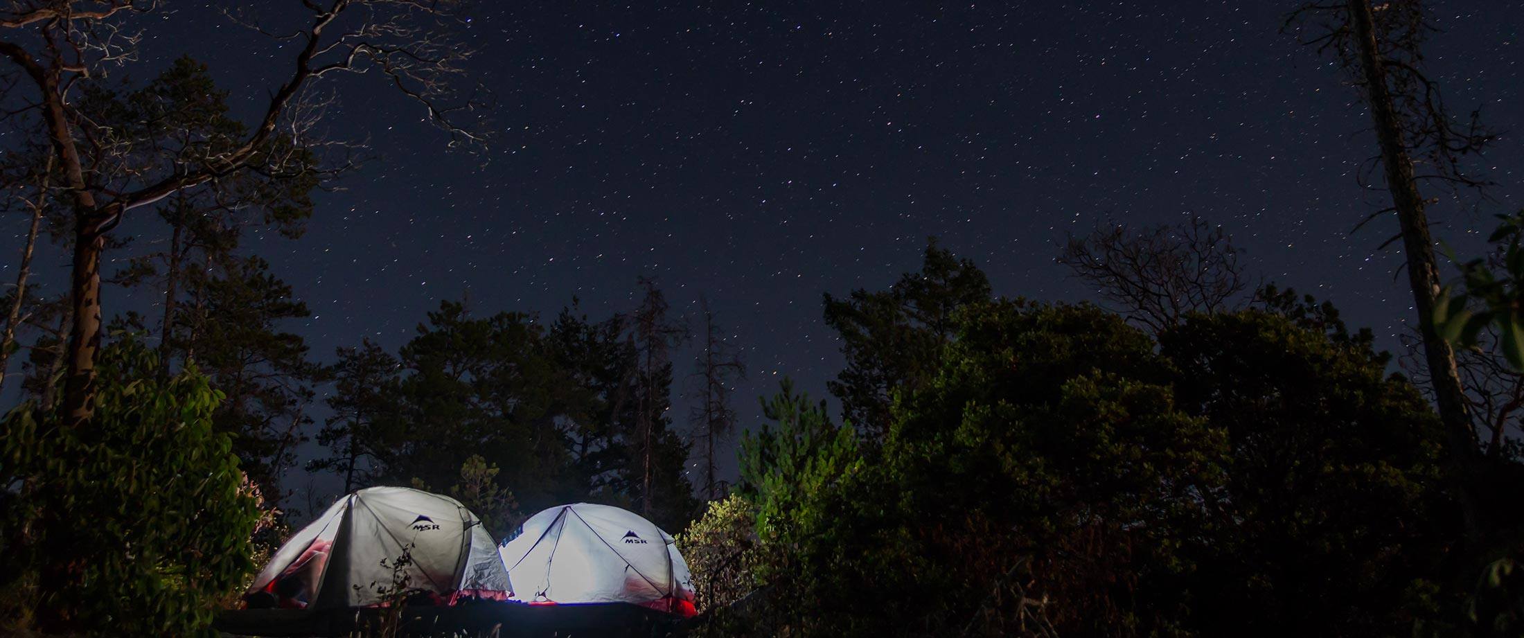 two tents are pitched up in the woods at night