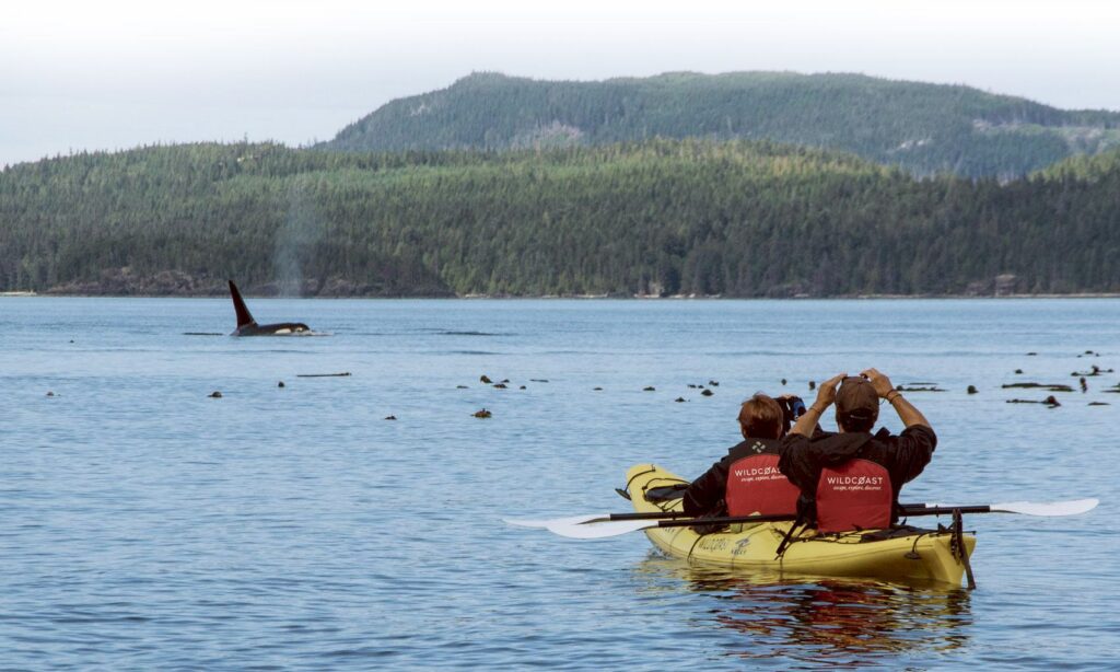 two people in a yellow kayak on the water