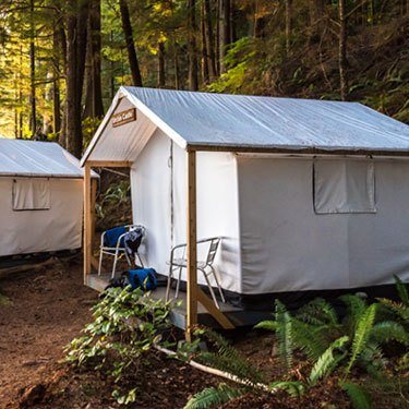 a couple of tents sitting in the middle of a forest