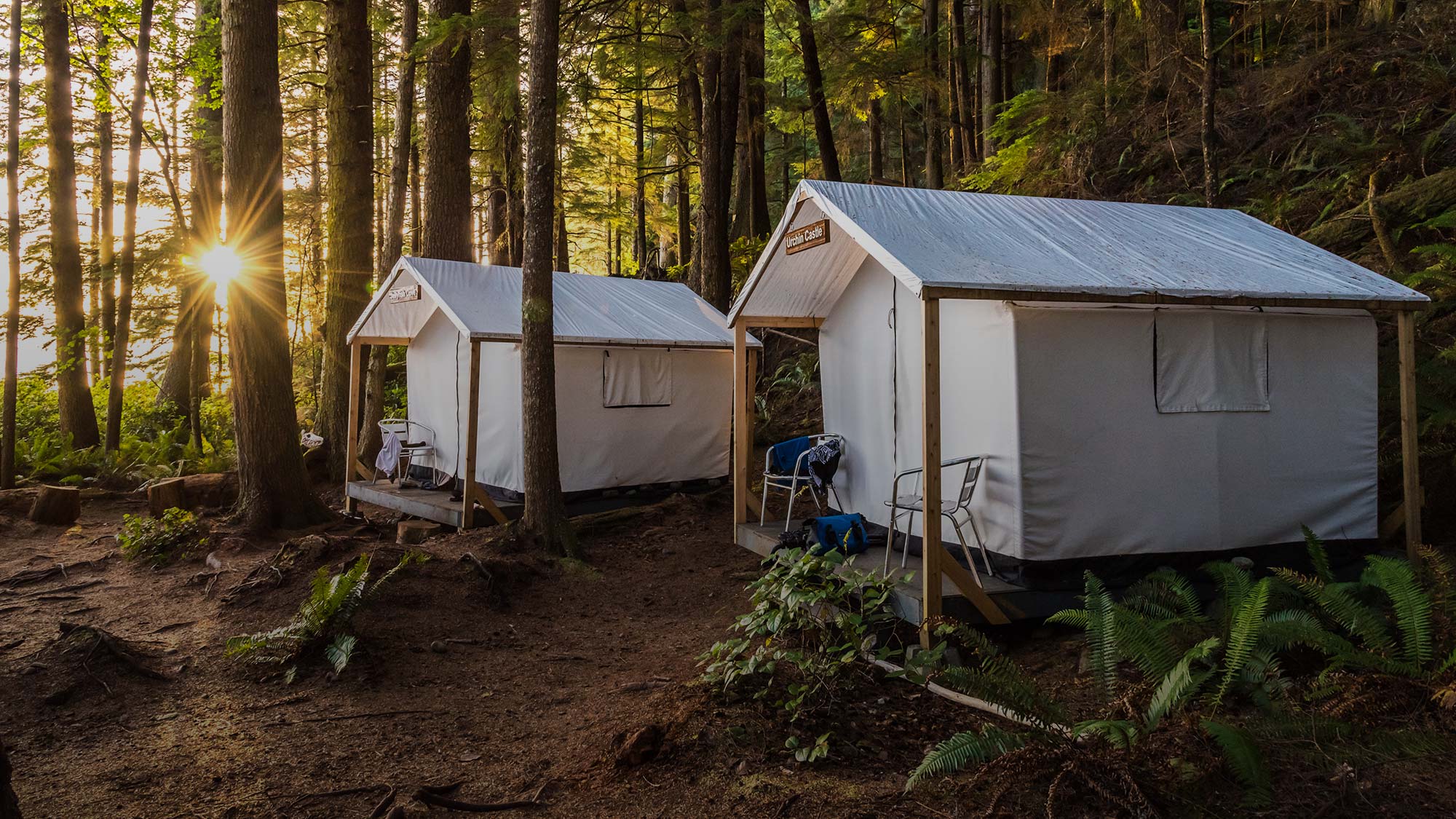 two white tents in the woods with trees