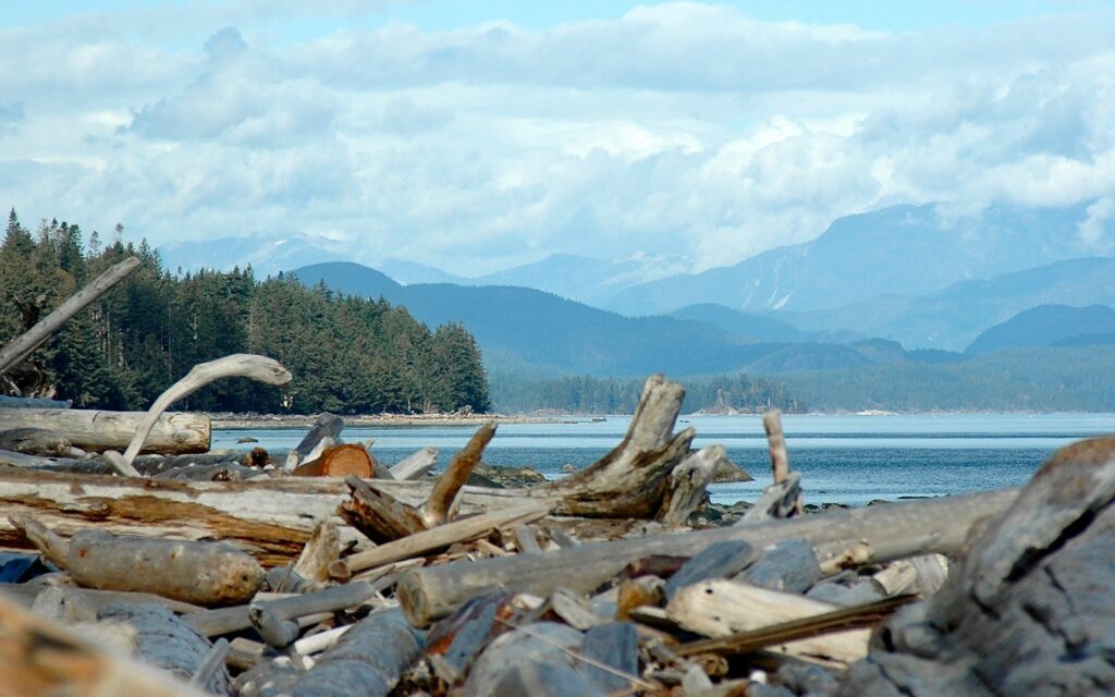 a pile of wood sitting on top of a beach