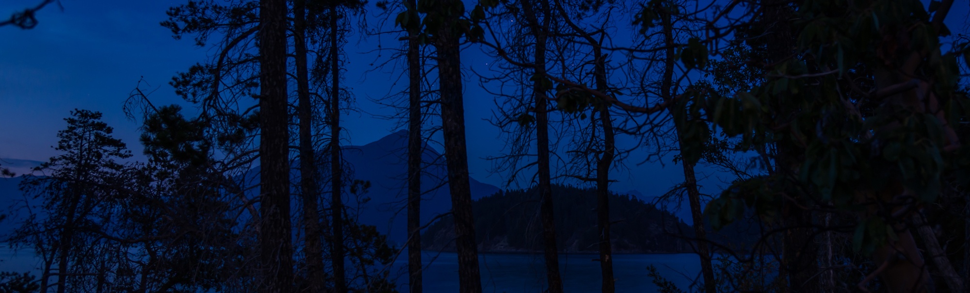 the moon is setting in the sky over some trees