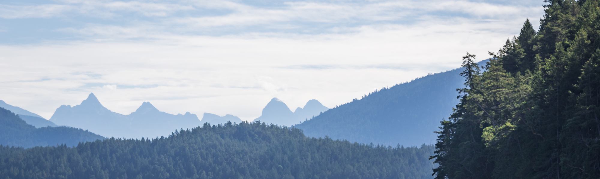 a mountain range with trees in the foreground