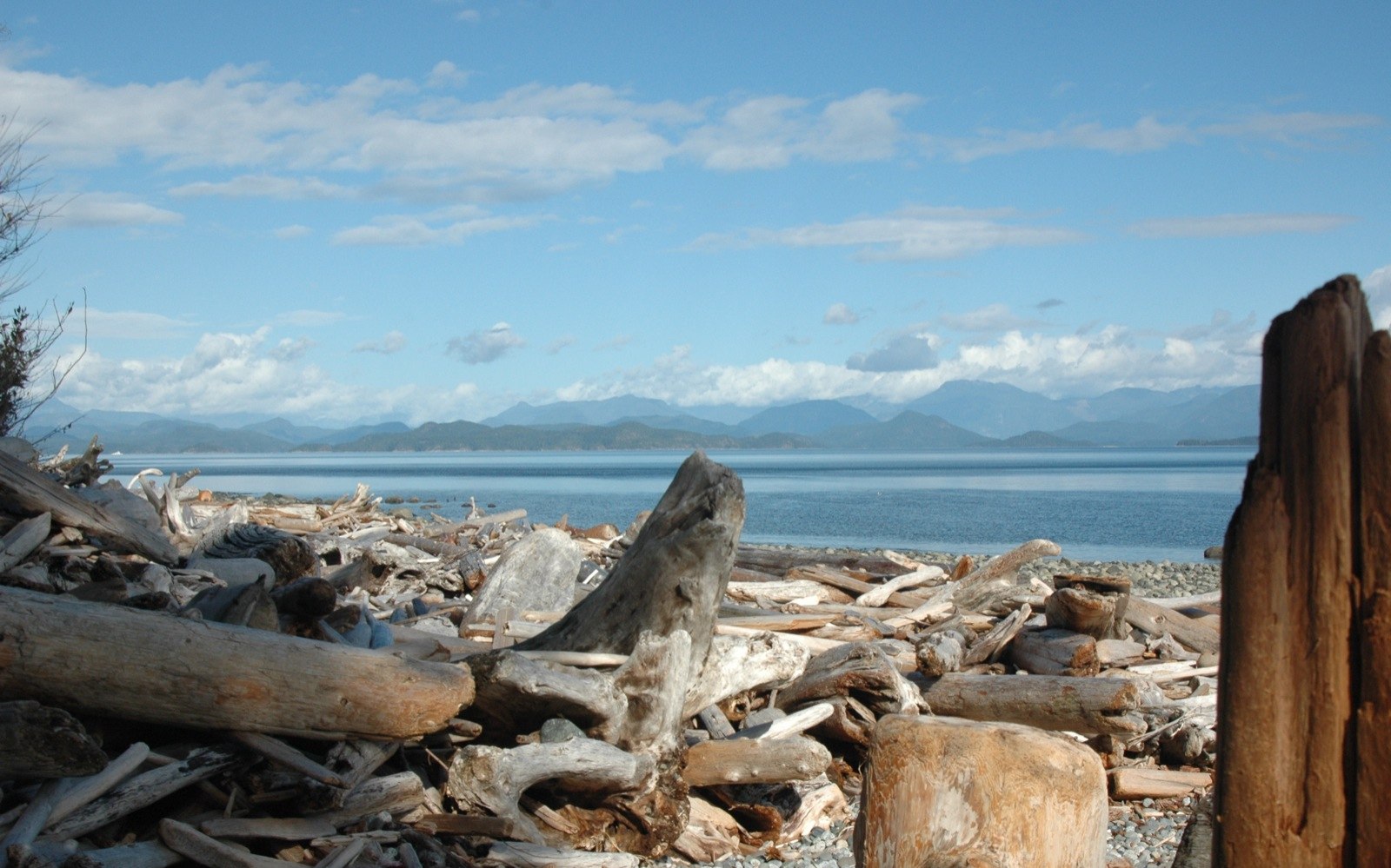 a pile of wood sitting on top of a beach