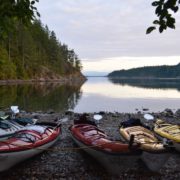 discovery-islands-1148-kayaking