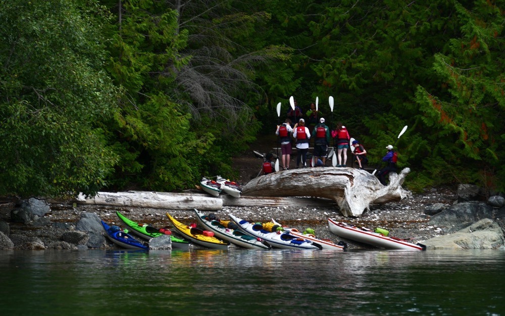 a group of people standing on top of a log next to canoes