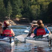 discovery-islands-1179-kayaking