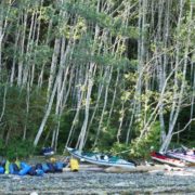 discovery-islands-1223-kayaks-1000x666