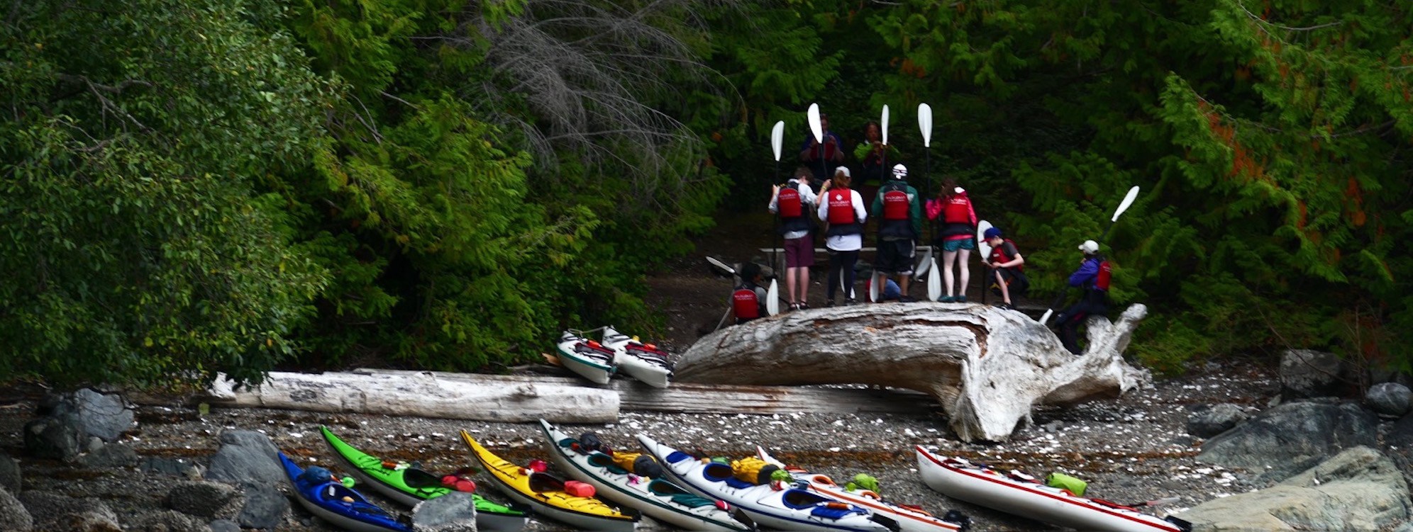 a group of people standing on top of a log next to canoes