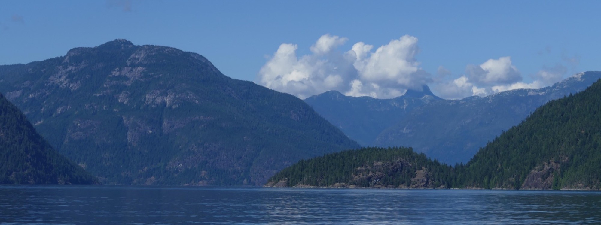 a mountain range with trees and water in the foreground