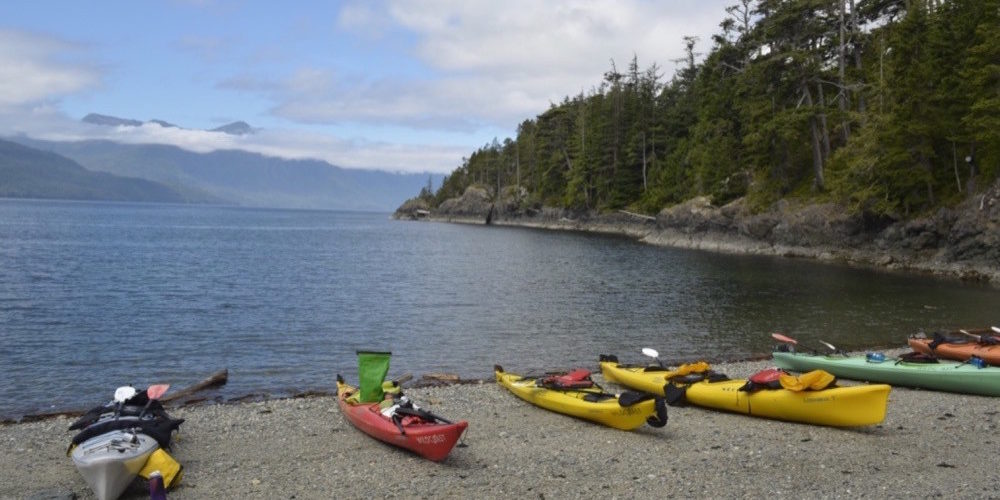 kayaking with orcas wilderness