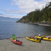 orca-camp-1478-kayaking-johnstone-strait-bc-resized-1000x550