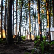 orca-camp-1707-tents-1000x662