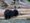 black bears on the beach in johnstone strait on cracroft island