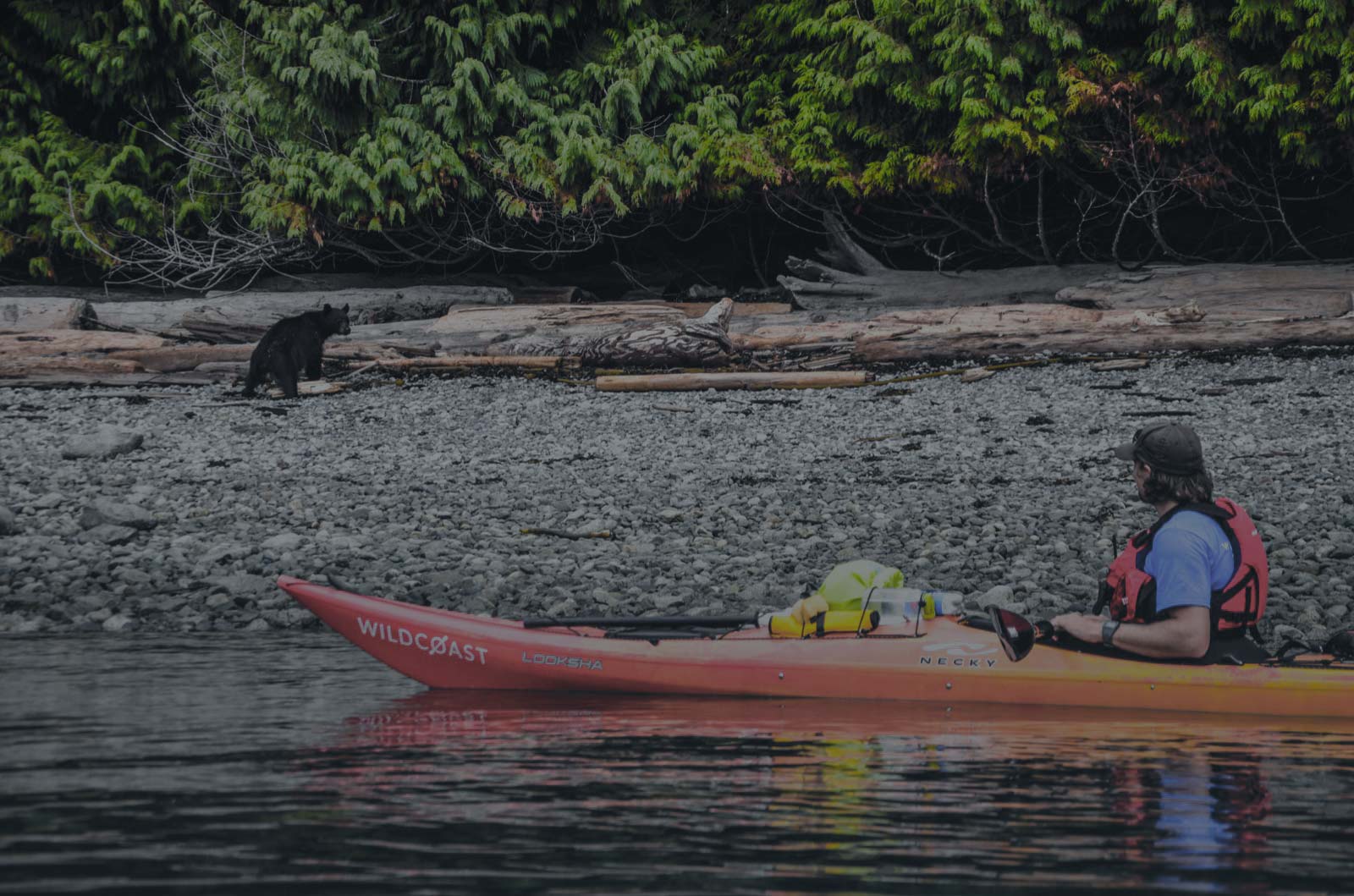 a man in a kayak with a black cat