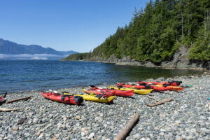 Yellow and red kayaks on a beach in the Johnstone Strait