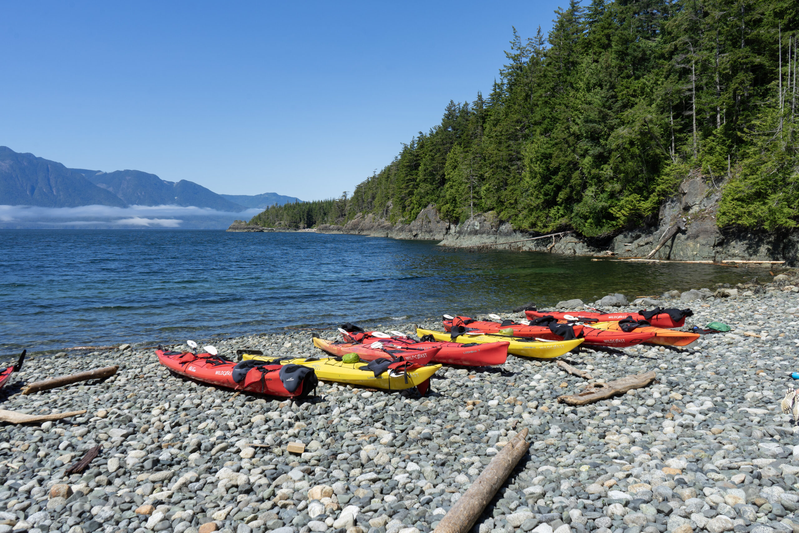 Yellow and red kayaks on a beach in the Johnstone Strait