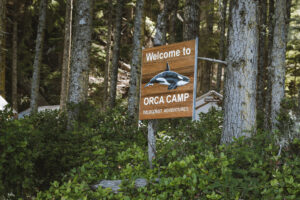 Wood sign with carved and painted Orca