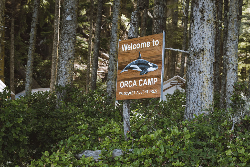Wood sign with carved and painted Orca
