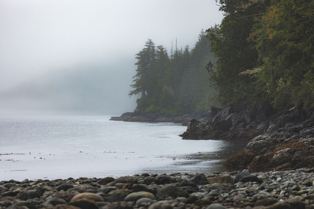 Coastal Shoreline with misty clouds and calm ocean,