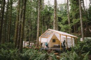 White glamping tent in lush green forest set on a wood platform.
