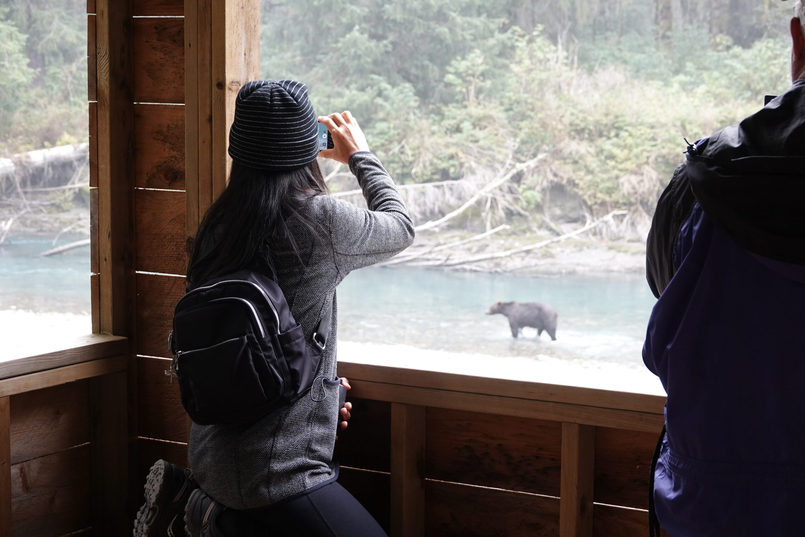A guest observes a grizzly bear with binoculars from a viewing tower.