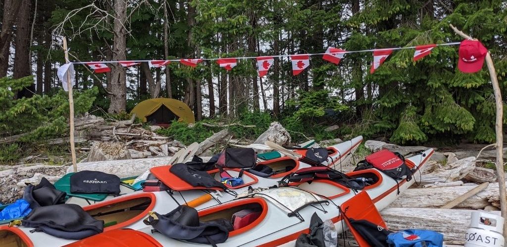 several kayaks are lined up in the woods