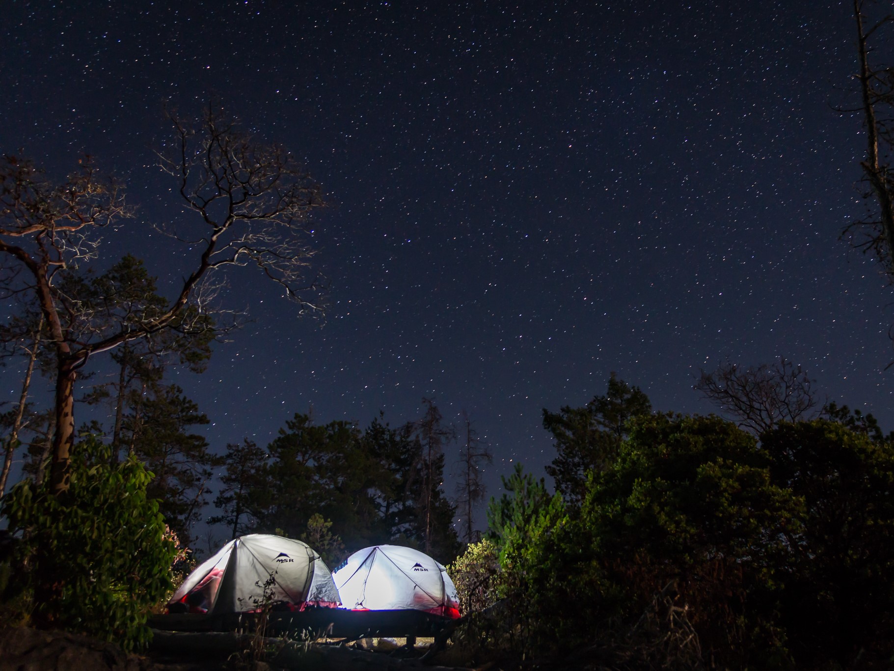 Two tents glowing under a starry night sky in Desolation Sound