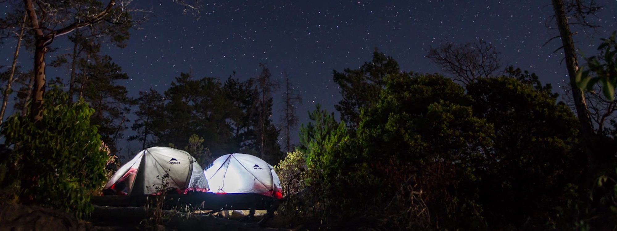 two tents are set up in the woods at night