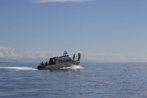 covered boat with guests driving in the ocean