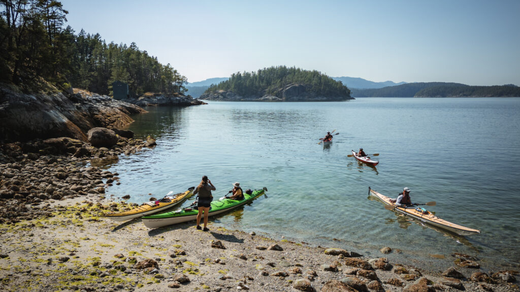 Kayakers arriving at a bay