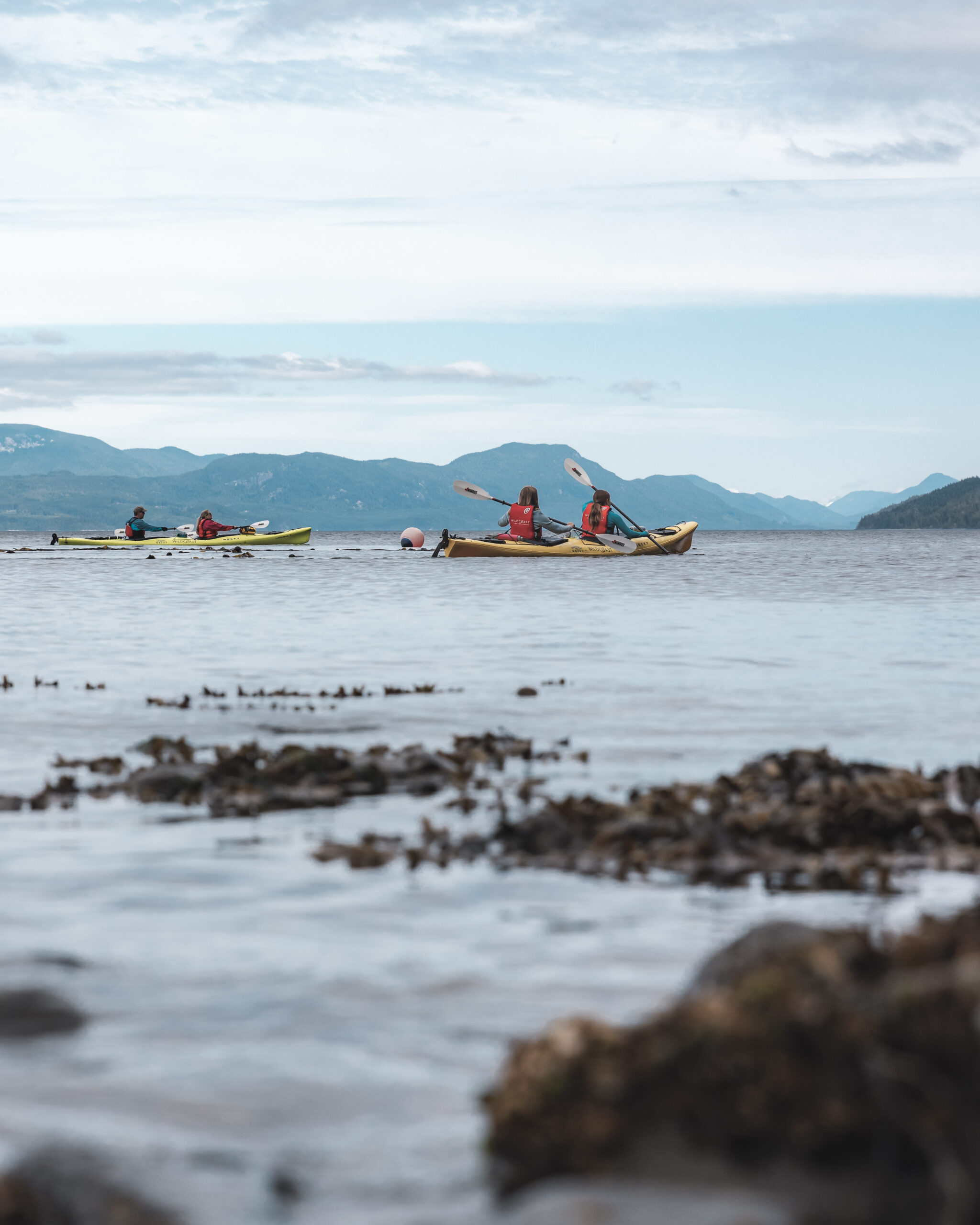 Two sea kayakers in Johnstone Strait