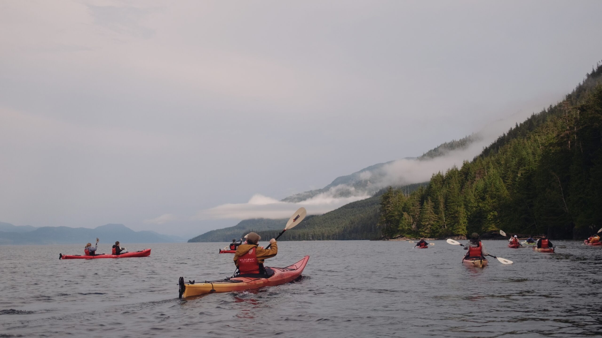 Guests at the beach at Orca Camp