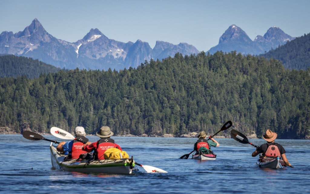 Group of sea kayakers paddling toward the jagged peaks of the Coast Mountains