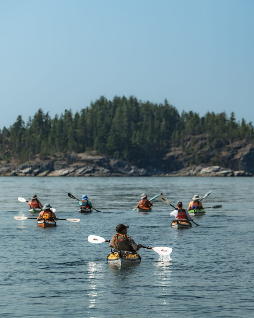 Group of sea kayakers paddling toward a forested island in the Discovery Islands