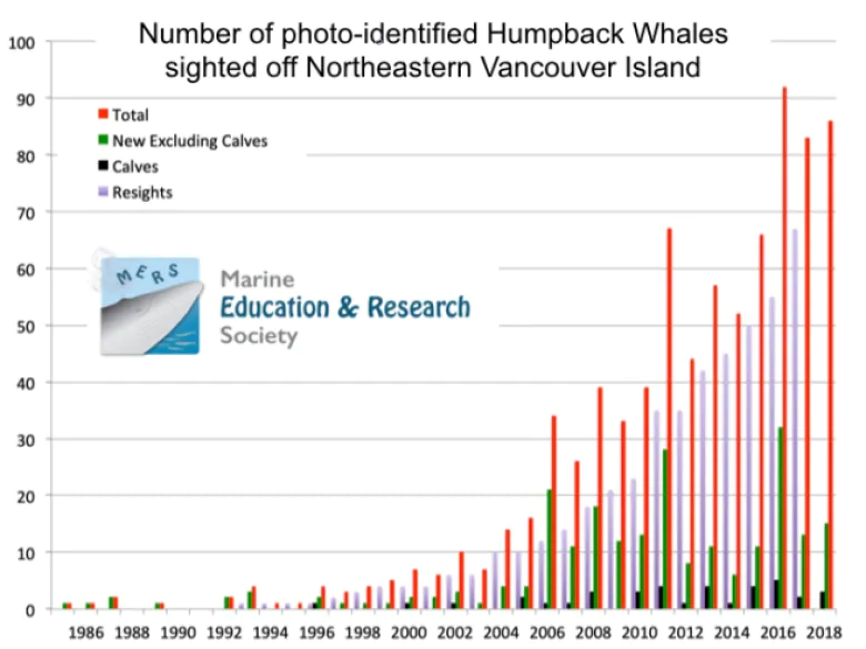 Whale Population Chart