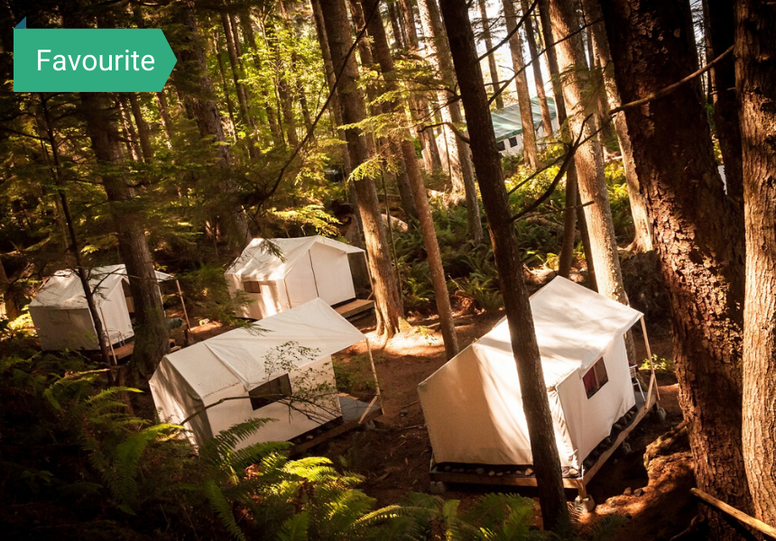 Kayaking with Orcas 2021 Tours in Johnstone Strait Vancouver Island